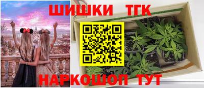 дмт Славгород