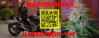дмт Славгород